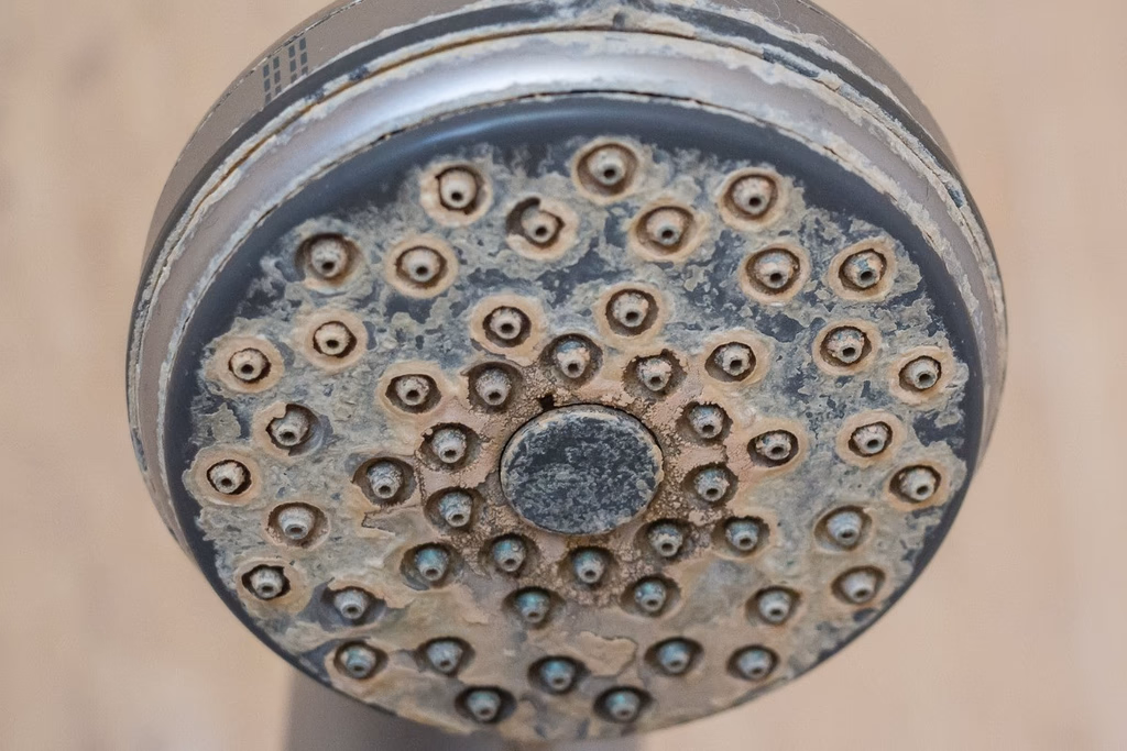 City Municipal Water